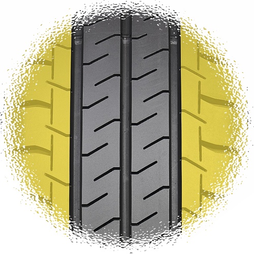 Väčšia šírka ramenných rebier. Väčšia šírka ramenných rebier.